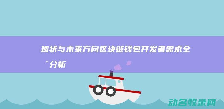 现状与未来方向 区块链钱包开发者需求全景分析 (现状与未来方面的区别)